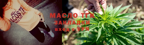 твердый Верхний Тагил